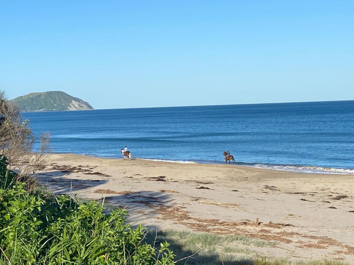 A Minute'S Walk To The Beach Gisborne Εξωτερικό φωτογραφία